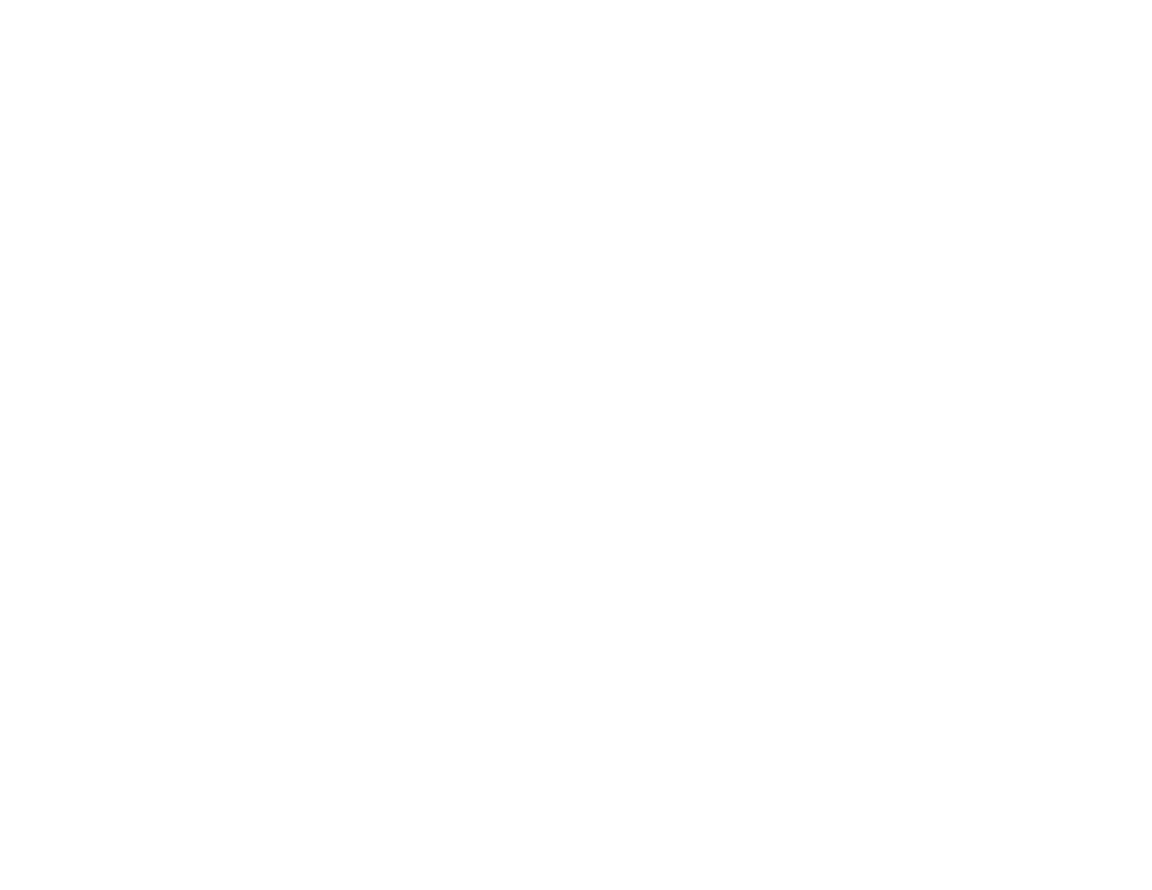 One Fix Pro